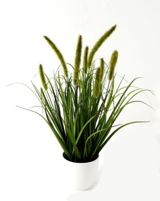 Artificial Grass 50*50*60cm Green bristlegrass *8 in PP pot GS-29423027-G2 Grass&PLANT YeahFlower is one of Chinese leading OEM manufacturers and exporters , supplying the silk flowers, wholesale artificial trees Artificial Grass 50*50*60cm Green bristlegrass *8 in PP pot GS-29423027-G2 Grass&PLANT YeahFlower is one of Chinese leading OEM manufacturers and exporters , supplying the silk flowers, wholesale artificial trees