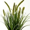 Artificial Grass 50*50*60cm Green bristlegrass *8 in PP pot GS-29423027-G2 Grass&PLANT YeahFlower is one of Chinese leading OEM manufacturers and exporters , supplying the silk flowers, wholesale artificial trees