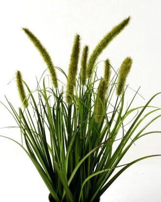 Artificial Grass 50*50*60cm Green bristlegrass *8 in PP pot GS-29423027-G2 Grass&PLANT YeahFlower is one of Chinese leading OEM manufacturers and exporters , supplying the silk flowers, wholesale artificial trees Artificial Grass 50*50*60cm Green bristlegrass *8 in PP pot GS-29423027-G2 Grass&PLANT YeahFlower is one of Chinese leading OEM manufacturers and exporters , supplying the silk flowers, wholesale artificial trees