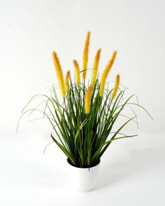 Artificial Grass 50*50*60cm Green bristlegrass *8 in PP pot GS-29423027-Y1 Grass&PLANT YeahFlower is one of Chinese leading OEM manufacturers and exporters , supplying the silk flowers, wholesale artificial trees Artificial Grass 50*50*60cm Green bristlegrass *8 in PP pot GS-29423027-Y1 Grass&PLANT YeahFlower is one of Chinese leading OEM manufacturers and exporters , supplying the silk flowers, wholesale artificial trees