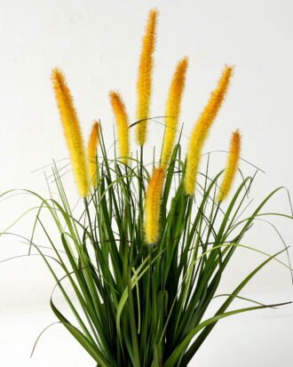 Artificial Grass 50*50*60cm Green bristlegrass *8 in PP pot GS-29423027-Y1 Grass&PLANT YeahFlower is one of Chinese leading OEM manufacturers and exporters , supplying the silk flowers, wholesale artificial trees Artificial Grass 50*50*60cm Green bristlegrass *8 in PP pot GS-29423027-Y1 Grass&PLANT YeahFlower is one of Chinese leading OEM manufacturers and exporters , supplying the silk flowers, wholesale artificial trees