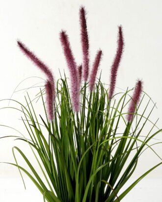 Artificial Grass 50*50*60cm Green bristlegrass *8 in PP pot GS-29423027-Z1 Grass&PLANT YeahFlower is one of Chinese leading OEM manufacturers and exporters , supplying the silk flowers, wholesale artificial trees Artificial Grass 50*50*60cm Green bristlegrass *8 in PP pot GS-29423027-Z1 Grass&PLANT YeahFlower is one of Chinese leading OEM manufacturers and exporters , supplying the silk flowers, wholesale artificial trees