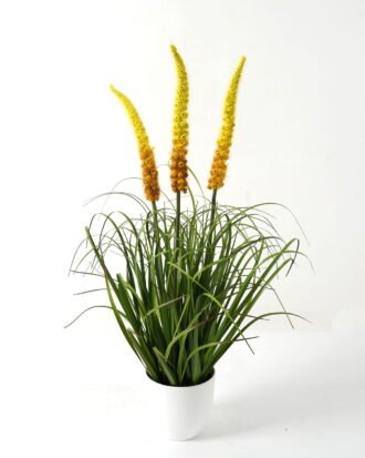 Artificial Grass 50*50*73cm Ophiuros *3 in PP pot GS-29423032-Y1 Grass&PLANT YeahFlower is one of Chinese leading OEM manufacturers and exporters , supplying the silk flowers, wholesale artificial trees Artificial Grass 50*50*73cm Ophiuros *3 in PP pot GS-29423032-Y1 Grass&PLANT YeahFlower is one of Chinese leading OEM manufacturers and exporters , supplying the silk flowers, wholesale artificial trees