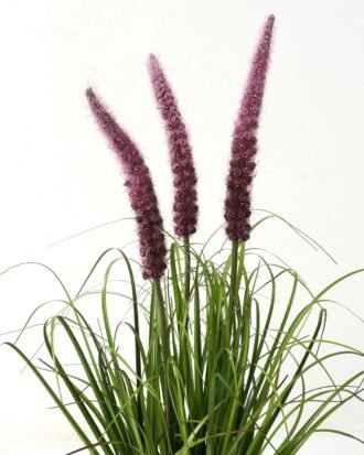 Artificial Grass 50*50*73cm Ophiuros *3 in PP pot GS-29423032-Z1 Grass&PLANT YeahFlower is one of Chinese leading OEM manufacturers and exporters , supplying the silk flowers, wholesale artificial trees Artificial Grass 50*50*73cm Ophiuros *3 in PP pot GS-29423032-Z1 Grass&PLANT YeahFlower is one of Chinese leading OEM manufacturers and exporters , supplying the silk flowers, wholesale artificial trees