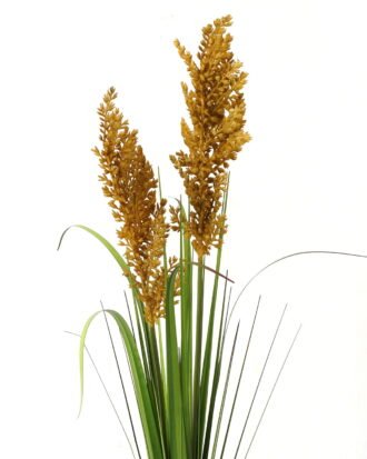 Artificial Grass 13*13*98cm Plastic grass single stem GS-29423045-Y1 Grass&PLANT YeahFlower is one of Chinese leading OEM manufacturers and exporters , supplying the silk flowers, wholesale artificial trees Artificial Grass 13*13*98cm Plastic grass single stem GS-29423045-Y1 Grass&PLANT YeahFlower is one of Chinese leading OEM manufacturers and exporters , supplying the silk flowers, wholesale artificial trees