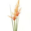 Artificial Grass Sorghum grass 2 single stem GS-29423018-O1_1 Artificial Grass 20*20*119cm Sorghum grass *2 single stem GS-29423018-O1 Grass&PLANT YeahFlower is one of Chinese leading OEM manufacturers and exporters , supplying the silk flowers, wholesale artificial trees