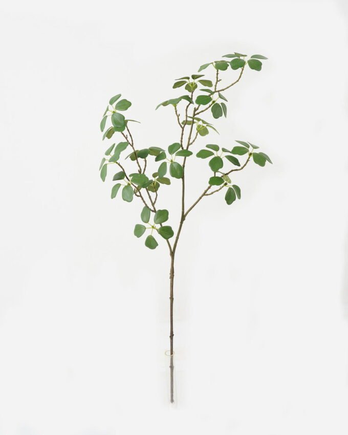 Artificial Plant 19*71cm Alocasia *3 single stem /85 lvs GS-66923005 Leaves&Sprays&Foliages YeahFlower is one of Chinese leading OEM manufacturers and exporters , supplying the silk flowers, wholesale artificial trees