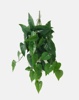 Artificial Plant 45*65cm Anthurium *10 hanging GS-14523015 Leaves&Sprays&Foliages YeahFlower is one of Chinese leading OEM manufacturers and exporters , supplying the silk flowers, wholesale artificial trees