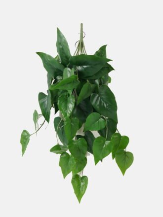 Artificial Plant 60*65cm Monstera *9 hanging GS-14523014-G2 Leaves&Sprays&Foliages 3,000+ sqm showroom with thousands of artificial flowers, plants & trees ready for global sourcing.