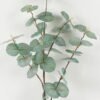 Artificial Plant 20*20*90cm Eucalyptus Leaf single stem GS-09823002-B2 Leaves&Sprays&Foliages YeahFlower is one of Chinese leading OEM manufacturers and exporters , supplying the silk flowers, wholesale artificial trees