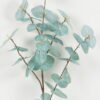 Artificial Plant 20*20*90cm Eucalyptus Leaf single stem GS-09823002 Leaves&Sprays&Foliages YeahFlower is one of Chinese leading OEM manufacturers and exporters , supplying the silk flowers, wholesale artificial trees