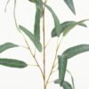 Artificial Plant 33*33*74cm Eucalyptus Leaf  single stem GS-51623007 Leaves&Sprays&Foliages YeahFlower is one of Chinese leading OEM manufacturers and exporters , supplying the silk flowers, wholesale artificial trees