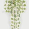 Artificial Plant Eucalyptus hanging GS-69123003_2 Artificial Plant 35*60cm Eucalyptus hanging GS-69123003 Leaves&Sprays&Foliages YeahFlower is one of Chinese leading OEM manufacturers and exporters , supplying the silk flowers, wholesale artificial trees