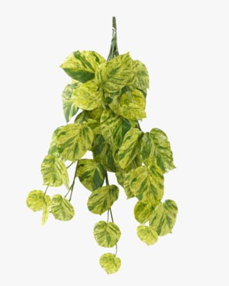 Artificial Plant 47*63cm Evergreen *10 hanging GS-14523010 Leaves&Sprays&Foliages YeahFlower is one of Chinese leading OEM manufacturers and exporters , supplying the silk flowers, wholesale artificial trees