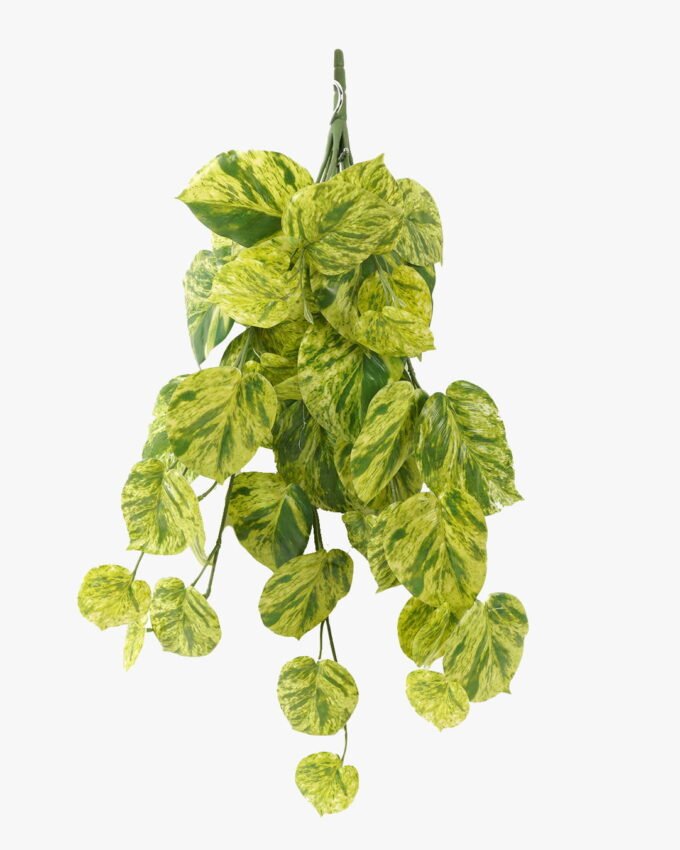 Artificial Plant 47*63cm Evergreen *10 hanging GS-14523010 Leaves&Sprays&Foliages YeahFlower is one of Chinese leading OEM manufacturers and exporters , supplying the silk flowers, wholesale artificial trees