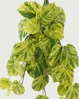 Artificial Plant 47*63cm Evergreen *10 hanging GS-14523010 Leaves&Sprays&Foliages YeahFlower is one of Chinese leading OEM manufacturers and exporters , supplying the silk flowers, wholesale artificial trees