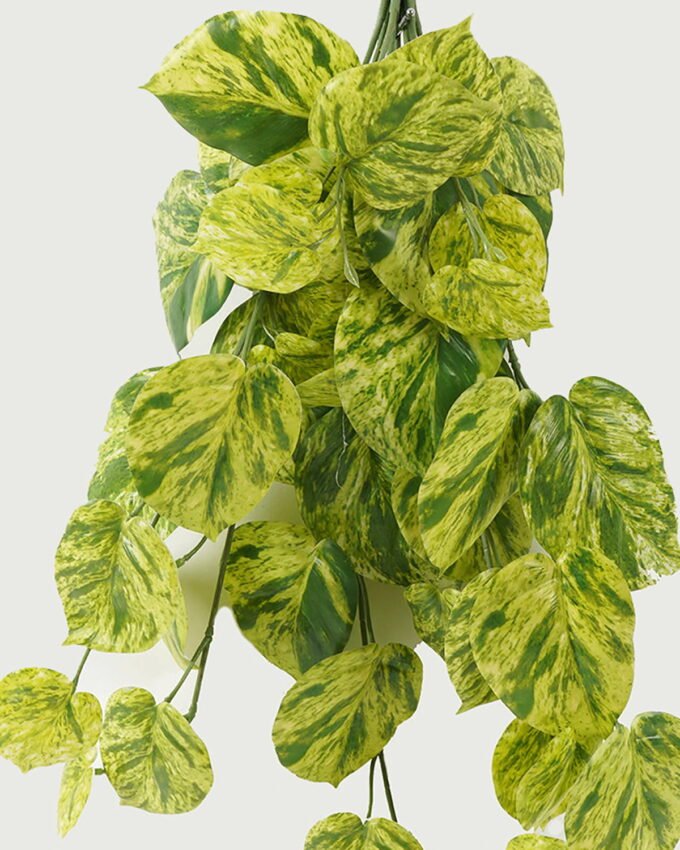 Artificial Plant 47*63cm Evergreen *10 hanging GS-14523010 Leaves&Sprays&Foliages YeahFlower is one of Chinese leading OEM manufacturers and exporters , supplying the silk flowers, wholesale artificial trees