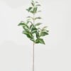 Artificial Plant 20*20*74cm Eyebrow leaf *3 bush GS-65723007 Leaves&Sprays&Foliages YeahFlower is one of Chinese leading OEM manufacturers and exporters , supplying the silk flowers, wholesale artificial trees