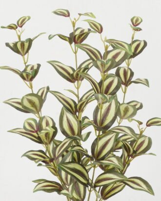 Artificial Plant 30*30*60cm Eyebrow leaf *4 bush GS-65723004-G4 Leaves&Sprays&Foliages YeahFlower is one of Chinese leading OEM manufacturers and exporters , supplying the silk flowers, wholesale artificial trees