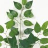 Artificial Plant 35*35*61cm Ficophyllum *3 single stem GS-15123002 Leaves&Sprays&Foliages YeahFlower is one of Chinese leading OEM manufacturers and exporters , supplying the silk flowers, wholesale artificial trees