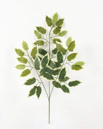 Artificial Plant 35*35*61cm Ficophyllum *3 single stem GS-15123003 Leaves&Sprays&Foliages YeahFlower is one of Chinese leading OEM manufacturers and exporters , supplying the silk flowers, wholesale artificial trees