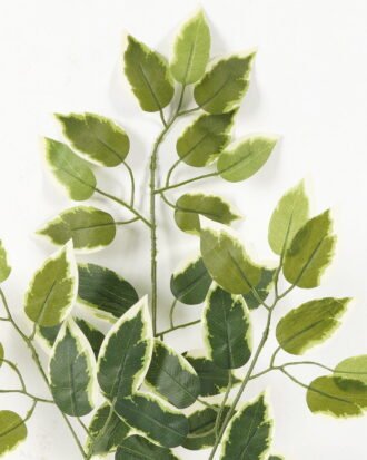 Artificial Plant 35*35*61cm Ficophyllum *3 single stem GS-15123003 Leaves&Sprays&Foliages YeahFlower is one of Chinese leading OEM manufacturers and exporters , supplying the silk flowers, wholesale artificial trees