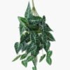 Artificial Plant 40*65cm Leaf *10 hanging GS-14523002 Leaves&Sprays&Foliages YeahFlower is one of Chinese leading OEM manufacturers and exporters , supplying the silk flowers, wholesale artificial trees
