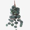 Artificial Plant 30*64cm Leaf *10 hanging GS-14523006 Leaves&Sprays&Foliages YeahFlower is one of Chinese leading OEM manufacturers and exporters , supplying the silk flowers, wholesale artificial trees
