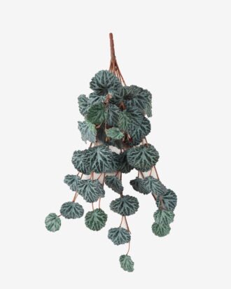 Artificial Plant 30*64cm Leaf *10 hanging GS-14523006 Leaves&Sprays&Foliages YeahFlower is one of Chinese leading OEM manufacturers and exporters , supplying the silk flowers, wholesale artificial trees