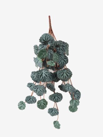 Artificial Plant 33*69cm Leaf *10 hanging GS-14523007 Leaves&Sprays&Foliages 3,000+ sqm showroom with thousands of artificial flowers, plants & trees ready for global sourcing.
