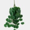 Artificial Plant 33*69cm Leaf *10 hanging GS-14523007 Leaves&Sprays&Foliages YeahFlower is one of Chinese leading OEM manufacturers and exporters , supplying the silk flowers, wholesale artificial trees