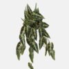 Artificial Plant 45*67cm Leaf *10 hanging GS-14523012 Leaves&Sprays&Foliages YeahFlower is one of Chinese leading OEM manufacturers and exporters , supplying the silk flowers, wholesale artificial trees