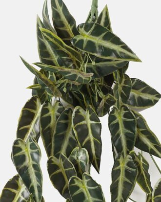 Artificial Plant 45*67cm Leaf *10 hanging GS-14523012 Leaves&Sprays&Foliages YeahFlower is one of Chinese leading OEM manufacturers and exporters , supplying the silk flowers, wholesale artificial trees