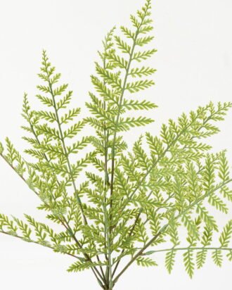 Artificial Plant 25*25*51cm Leaf *5 bush GS-48423011 Leaves&Sprays&Foliages YeahFlower is one of Chinese leading OEM manufacturers and exporters , supplying the silk flowers, wholesale artificial trees