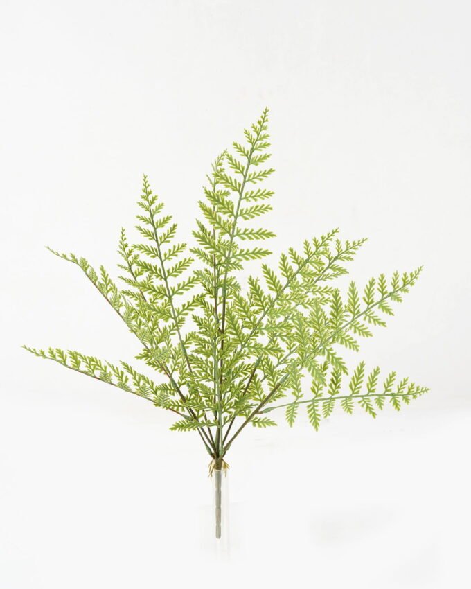 Artificial Plant 25*25*51cm Leaf *5 bush GS-48423011 Leaves&Sprays&Foliages YeahFlower is one of Chinese leading OEM manufacturers and exporters , supplying the silk flowers, wholesale artificial trees
