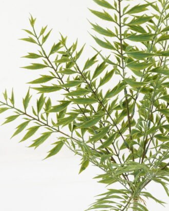 Artificial Plant 25*25*51cm Maple leaf *5 bush GS-48423010 Leaves&Sprays&Foliages YeahFlower is one of Chinese leading OEM manufacturers and exporters , supplying the silk flowers, wholesale artificial trees