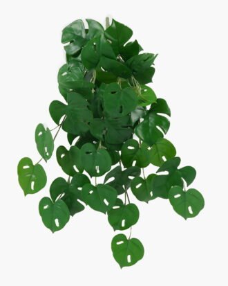 Artificial Plant 60*65cm Monstera *9 hanging GS-14523014 Leaves&Sprays&Foliages YeahFlower is one of Chinese leading OEM manufacturers and exporters , supplying the silk flowers, wholesale artificial trees