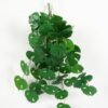 Artificial Plant 60*65cm Monstera *9 hanging GS-14523014 Leaves&Sprays&Foliages YeahFlower is one of Chinese leading OEM manufacturers and exporters , supplying the silk flowers, wholesale artificial trees