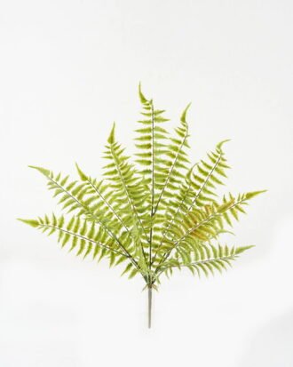 Artificial Plant 25*25*51cm Nephrolepis *5 bush GS-48423012-G2 Leaves&Sprays&Foliages YeahFlower is one of Chinese leading OEM manufacturers and exporters , supplying the silk flowers, wholesale artificial trees