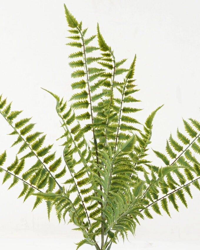 Artificial Plant 25*25*51cm Nephrolepis *5 bush GS-48423012 Leaves&Sprays&Foliages YeahFlower is one of Chinese leading OEM manufacturers and exporters , supplying the silk flowers, wholesale artificial trees