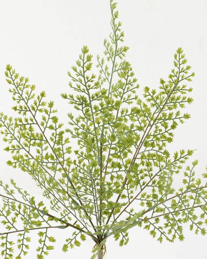 Artificial Plant 25*25*51cm Parsely *5 bush GS-48423016 Leaves&Sprays&Foliages YeahFlower is one of Chinese leading OEM manufacturers and exporters , supplying the silk flowers, wholesale artificial trees