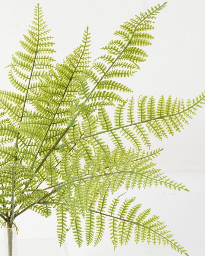 Artificial Plant 30*30*51cm Persian leaf  *5 bush GS-48423014 Leaves&Sprays&Foliages YeahFlower is one of Chinese leading OEM manufacturers and exporters , supplying the silk flowers, wholesale artificial trees