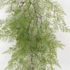 Artificial Plant 56*99cm Pteris leaf single stem GS-48423005 Leaves&Sprays&Foliages YeahFlower is one of Chinese leading OEM manufacturers and exporters , supplying the silk flowers, wholesale artificial trees