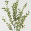 Artificial Plant 28*28*98cm Silver Leaf single stem GS-45623004 Leaves&Sprays&Foliages YeahFlower is one of Chinese leading OEM manufacturers and exporters , supplying the silk flowers, wholesale artificial trees