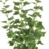 Artificial Plant 25*25*59cm Sweetpotato leaf *4 bush GS-65723009 Leaves&Sprays&Foliages YeahFlower is one of Chinese leading OEM manufacturers and exporters , supplying the silk flowers, wholesale artificial trees