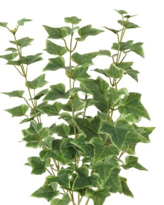 Artificial Plant 25*25*59cm Sweetpotato leaf *4 bush GS-65723009 Leaves&Sprays&Foliages YeahFlower is one of Chinese leading OEM manufacturers and exporters , supplying the silk flowers, wholesale artificial trees