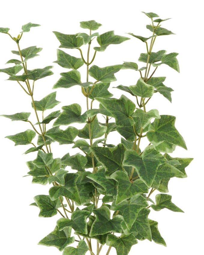 Artificial Plant 25*25*59cm Sweetpotato leaf *4 bush GS-65723009 Leaves&Sprays&Foliages YeahFlower is one of Chinese leading OEM manufacturers and exporters , supplying the silk flowers, wholesale artificial trees