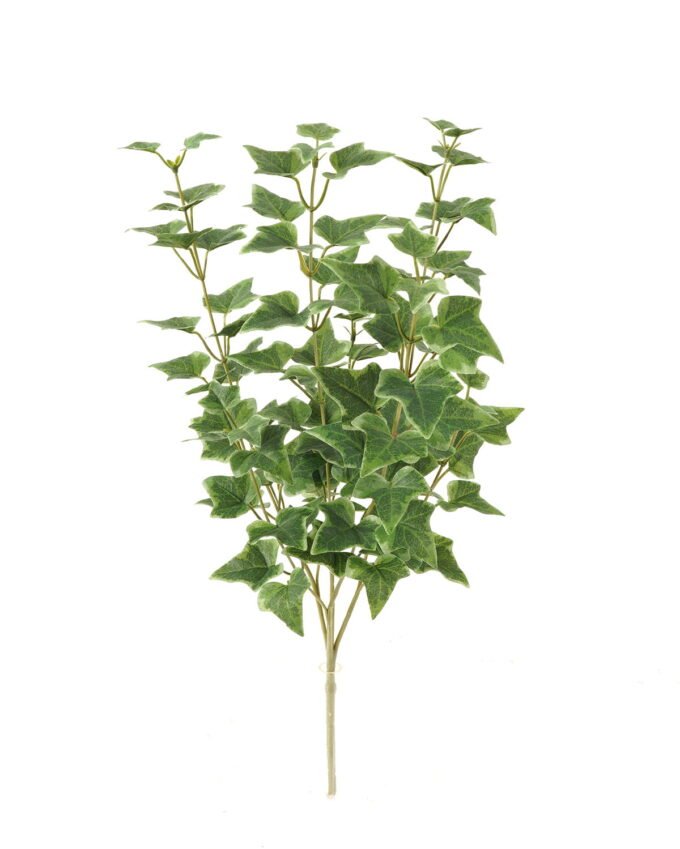 Artificial Plant 25*25*59cm Sweetpotato leaf *4 bush GS-65723009 Leaves&Sprays&Foliages YeahFlower is one of Chinese leading OEM manufacturers and exporters , supplying the silk flowers, wholesale artificial trees