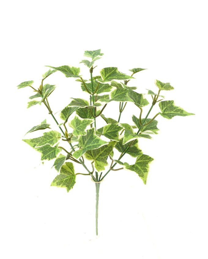 Artificial Plant 23*23*31cm Sweetpotato leaf *6 bush GS-65723010-G1 Leaves&Sprays&Foliages YeahFlower is one of Chinese leading OEM manufacturers and exporters , supplying the silk flowers, wholesale artificial trees