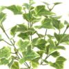 Artificial Plant 23*23*31cm Sweetpotato leaf *6 bush GS-65723010-G1 Leaves&Sprays&Foliages YeahFlower is one of Chinese leading OEM manufacturers and exporters , supplying the silk flowers, wholesale artificial trees